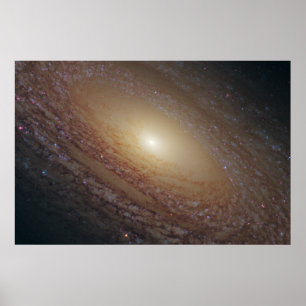 Poster Galaxie Spirale Ngc 2841