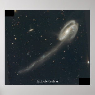 Poster Galaxie Tadpole