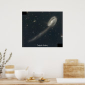 Poster Galaxie Tadpole (Cuisine)