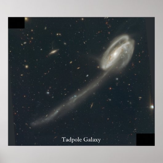 Poster Galaxie Tadpole (Devant)