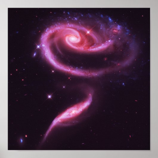 Poster Galaxies Rose Pâle (Devant)