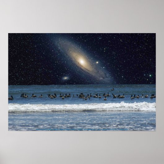 Poster Galaxy Pelicans (Devant)