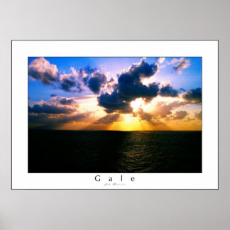 Poster Gale