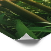 Poster Galerie Envelopper mon paradis (Coin)