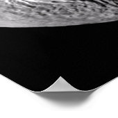 Poster Galerie Vesta et Asteroid (Coin)