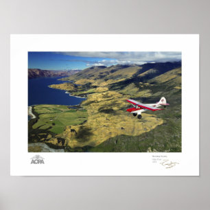 Poster Galerie Wanaka Husky