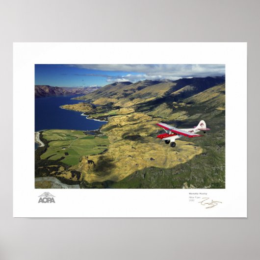 Poster Galerie Wanaka Husky (Devant)