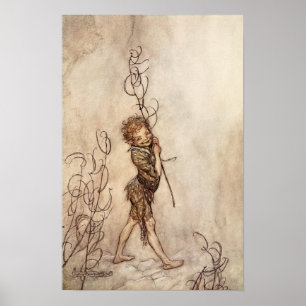 Poster Galet