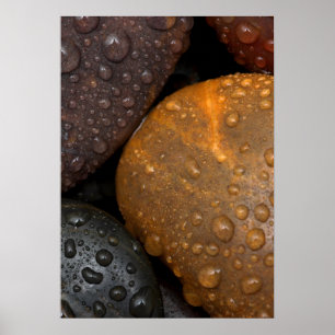 Poster Galets avec Gouttelettes d'Eau