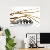 Poster Galets et bois flotté (Bureau à domicile)
