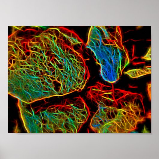 Poster Galets peints en néon brillant (Devant)