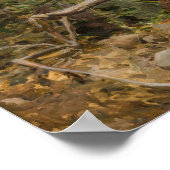 Poster Gallen-Kallela - Grand pic noir 1894 (Coin)