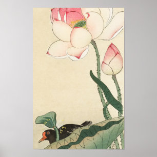 Poster Gallinule avec fleurs de Lotus par Ohara Koson