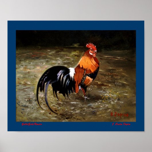 Poster Gallo/Galo/Rooster (Devant)