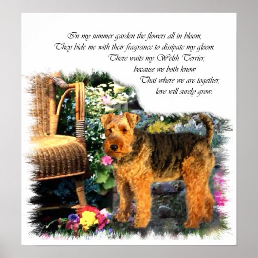 Poster Gallois Terrier Art Print (Devant)