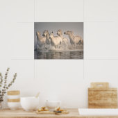 Poster Galloping à cheval dans l'eau méditerranéenne (Cuisine)