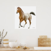 Poster Galloping Appaloosa Horse Print (Cuisine)