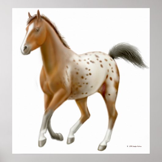 Poster Galloping Appaloosa Horse Print (Devant)