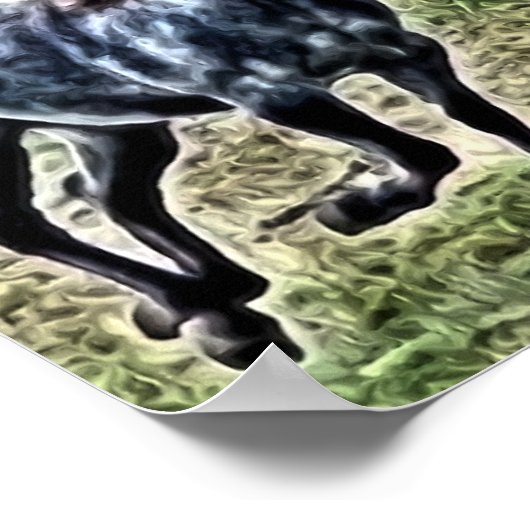 Poster Galloping Grey Horses (Coin)