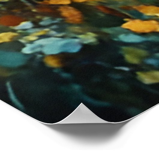 Poster Galloping Pinto Stallion Van Gogh (Coin)