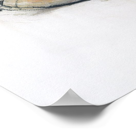 Poster Galloway 2006 (Coin)