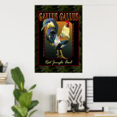 Poster Gallus Gallus International (Bureau à domicile)