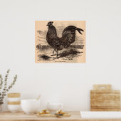 Poster Galus Sonneratii du 19e siècle (Cuisine)