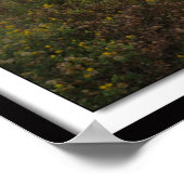 Poster Galveston Sunrise sur East Beach (Coin)