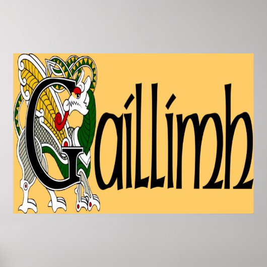 Poster Galway (gaélique) (Devant)