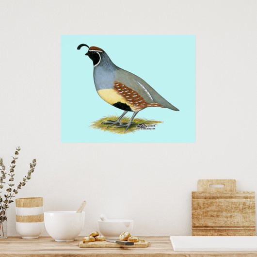 Poster Gambel's Desert Quail (Cuisine)