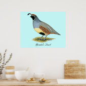 Poster Gambel's Desert Quail (Cuisine)