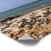 Poster Gambie - Barra - (Coin)