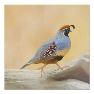 Poster Gambrel's Quail Painting Original Bird Art