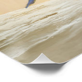 Poster Gambrel's Quail Painting Original Bird Art (Coin)