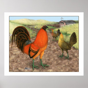Poster Game Fowl on the Farm