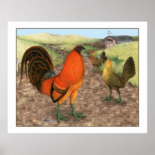 Poster Game Fowl on the Farm (Devant)