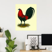 Poster Gamecock américain : Rouge Brown (Bureau à domicile)