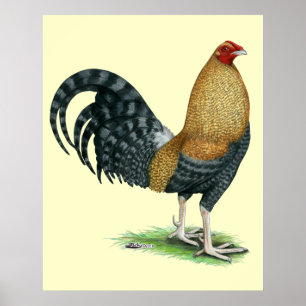 Poster Gamecock : Dom ou Crele