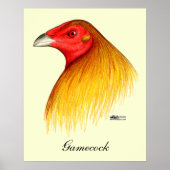 Poster Gamecock Dubbed (Devant)