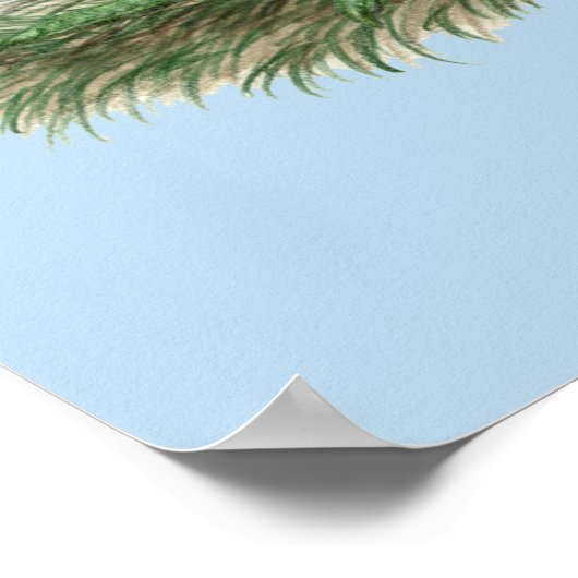 Poster Gamecock Ginger (Coin)