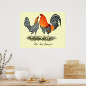 Poster Gamefowl rouge bleu (Cuisine)