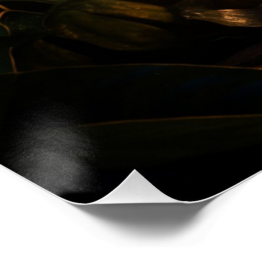 Poster Gamine léopard (Coin)