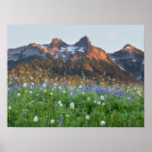 Poster Gamme de tatouages et Fleurs sauvages | Mt. Rainie (Devant)