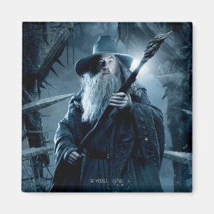 Poster Gandalf Character 3 Magneet