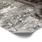 Poster Gandhi (Coin)