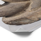 Poster Ganesh, de Tuol Pheak Kin (Coin)