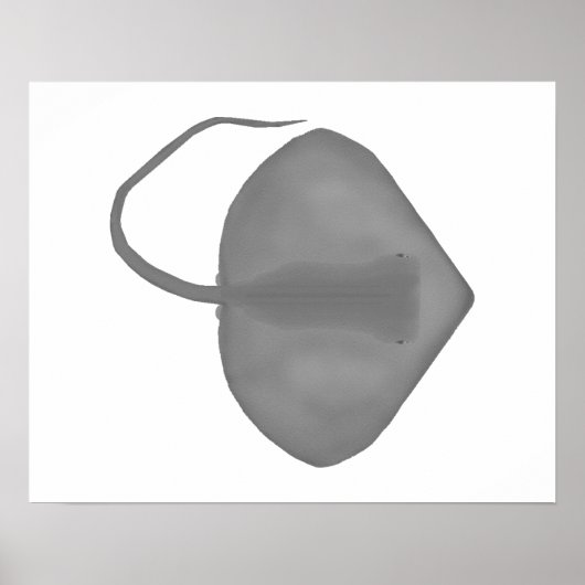 Poster Ganges Stingray (Devant)