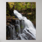 Poster Ganoga Falls 11"x14" (Devant)