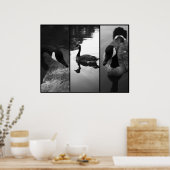 Poster ganzen (Keuken)