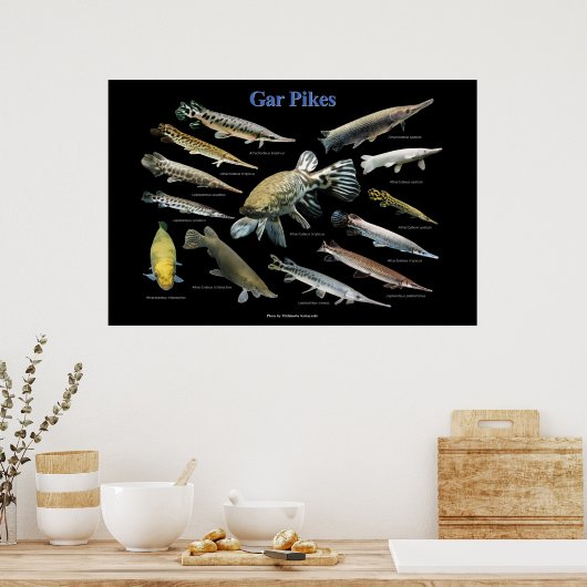 Poster Gar Pikes (Cuisine)